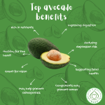 Avocados are a good source of many nutrients and may have various health benefits. These include improving digestion, lowering the risk of depression, preventing bone loss, supporting heart health, protecting against cancer, and more.

Avocados are a type of fruit that grows in warm climates. They are a popular food choice because they are delicious and healthy.

Avocados are a good source of monounsaturated fatty acids and they are also rich in many other nutrients.

Vitamins and minerals are important nutrients that can be found in a variety of foods. Eating a balanced diet with plenty of vitamins and minerals can provide many benefits.

The nutritional content of avocados is interesting. They may benefit our health in a number of ways, but there are also some potential risks to consider.

Avocados are a good source of many nutrients, including vitamins C, E, K, B6, riboflavin, niacin, folate, pantothenic acid, magnesium, and potassium. They also contain lutein, beta carotene, and omega-3 fatty acids.

Avocados are a type of fruit that are high in healthy, beneficial fats. These fats can help you feel fuller after eating them, which can help you stay healthy.

Eating fat helps keep blood sugar levels stable between meals.

An avocado is about 50 grams, so it contains about 5 grams of carbs.

Do you think that we can go to the park today? Most likely, we can go to the park today.

Eating healthy fats helps your body in many ways. They support your skin health, help you absorb important nutrients, and help you avoid eating too much sugar.

The immune system is a system that helps your body fight against infections.

Avocados are a healthy food because they have a lot of potassium which is good for the heart.

Cholesterol is a type of natural sterol found in plants. It is important for keeping your heart healthy, and consuming beta sitosterol regularly may help to do this.

The two substances in your eye that help protect it from damage include antioxidants. They help to minimize the damage that can be caused by the sun's UV rays.

The monounsaturated fatty acids in avocados help the body absorb other beneficial antioxidants, like beta carotene. This may help reduce the risk of developing age-related macular degeneration.

Osteoporosis is a condition where the bones become weak and brittle. Eating half an avocado a day can help to prevent this from happening.

The daily value of vitamin K is a lot.

Vitamin K is important for bone health because it helps the body to absorb more calcium. This means that less calcium is lost in the urine.

Some studies haven't found a direct link between avocado consumption and a lower risk of cancer, but avocados do have substances that may help protect you from getting cancer in the first place.

Avocados are a fruit that contains a lot of different types of chemicals that may help protect you from cancer.

Some scientists have found that carotenoids may help protect people from getting cancer.