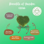 Benefits of Garden cress