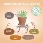 Benefits of Dill leaves